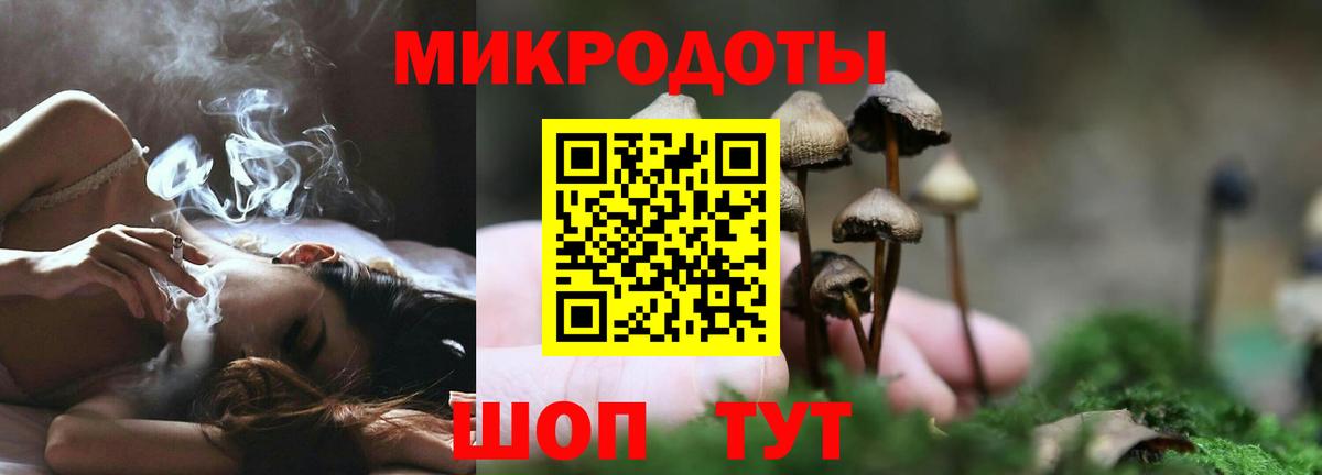 Псилоцибиновые грибы MAGIC MUSHROOMS  Вход с VPN  Верхний Уфалей  Псилоцибиновые грибы GOLDEN TEACHER 